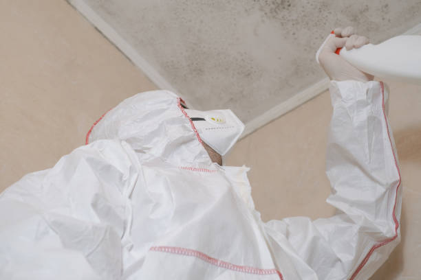 Best Forensic Mold Investigation  in St Marys, WV